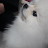 @user-sp8bd9hk8l
