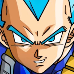 VEGETA’S HMPH net worth