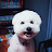 @user-kx1xq7fy4o