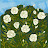 @user-rq8kl3ms1k