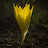 @zoomzoom530 Avatar