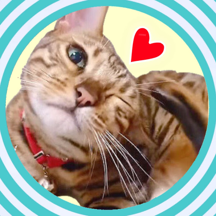 にゃんたまHOUSE Net Worth & Earnings (2026)