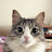 @user-ec2nz2wi7w