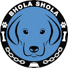 What could Bhola Shola buy with $175.3 thousand?