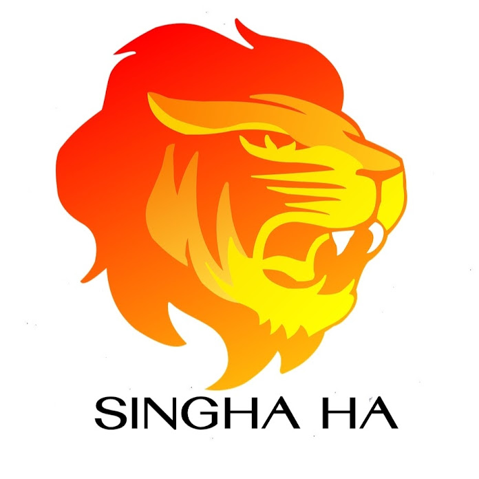 Singha ha Channel Net Worth & Earnings (2024)