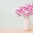 @user-kw1od5qv8v