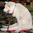 @user-xp9hj7ds5c