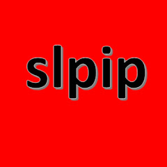 slpip net worth