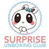 What could Surprise Unboxing Club buy with $100 thousand?