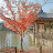 @user-jd6rp2yy7m