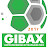 @gibaxliga4268