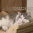 @user-zm4zq8cq1c