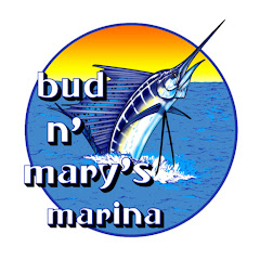 Bud n' Mary's Marina Avatar