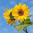 @user-cf1lu2fg3k