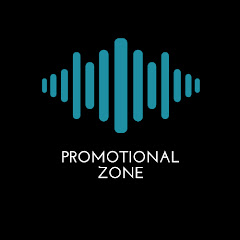 Promotional Zone net worth