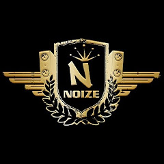 DJ Noize net worth