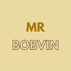 Mr Bobvin net worth