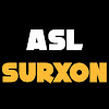 What could ASL SURXON buy with $212.34 thousand?