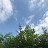 @user-bd1xf2nb6i
