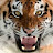 @user-bz6ht9zh1n