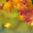 @shahidsaheb8509 Avatar