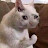@user-hk1rz9ro3t