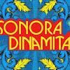 What could SonoraDinamitaVEVO buy with $8.3 million?