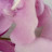 @user-xv9ek3lr8q