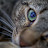 @jimtipton8888 Avatar