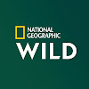 What could National Geographic Wild France buy with $855.27 thousand?