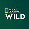 What could National Geographic Wild France buy with $855.3 thousand?