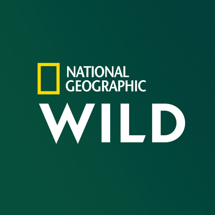 National Geographic Wild France Net Worth & Earnings (2024)