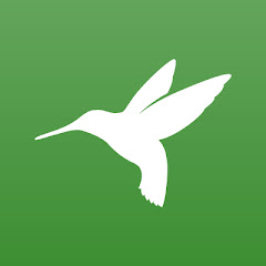 Thumbnail of related channel