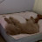 @user-em6xm3tt7p