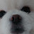 @user-ll2ih5pp1b