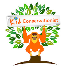 Kid Conservationist net worth