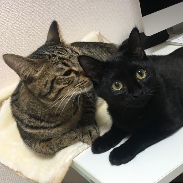 さもじとほたねの日常 Net Worth & Earnings (2026)