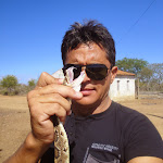 REI DAS SERPENTES HAROLDO BAUER Net Worth