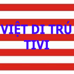 Việt Di Trú TV net worth