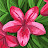 @missjeannie147 Avatar