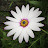 @myjugsarehuge Avatar