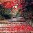 @tuhinamallik5799 Avatar