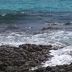 les plus belles plages Martinique Avatar