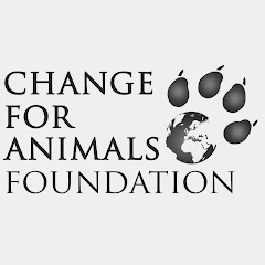 Thumbnail of related channel