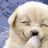 @user-gy4yd9bh4e