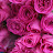 @user-bk6yq5oi4y