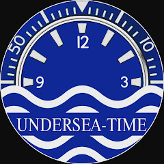 Undersea Time net worth