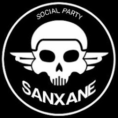 SANXANE net worth