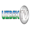 What could UZBEK TV buy with $5.5 million?