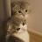 @user-li7uq7jk8n